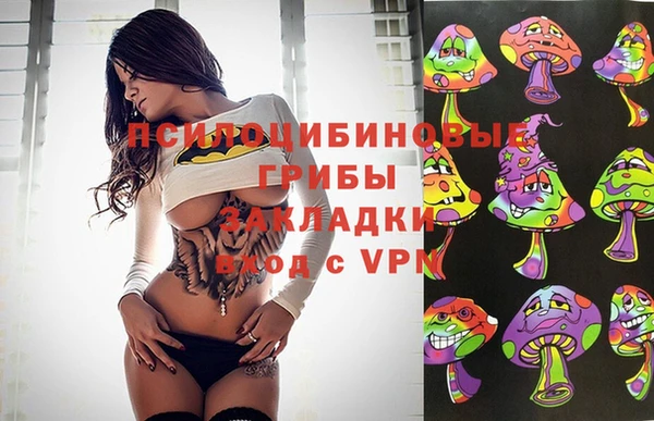 индика Алексеевка