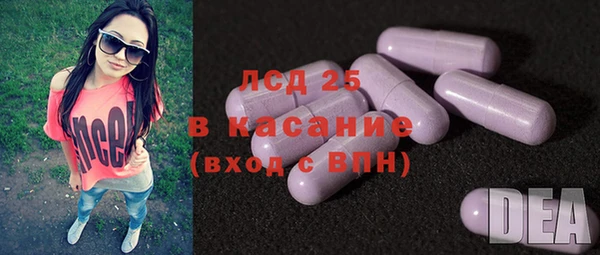сатива Арсеньев