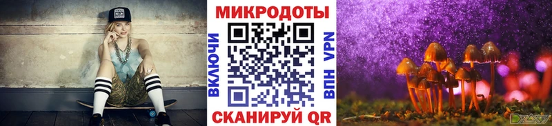 купить наркоту  Челябинск  Псилоцибиновые грибы Psilocybe 