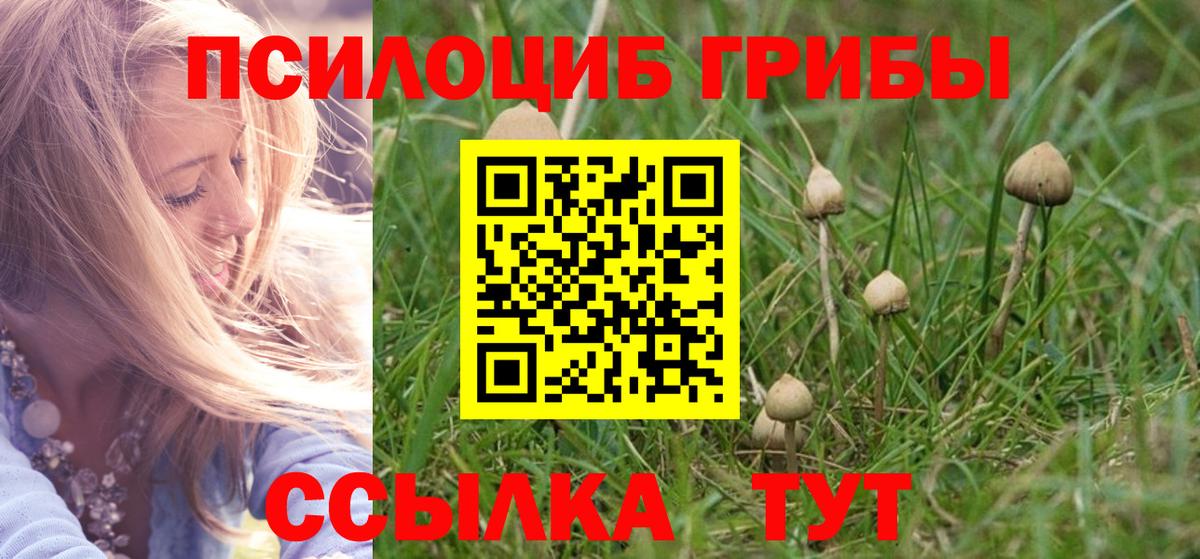 Галлюциногенные грибы Cubensis Челябинск