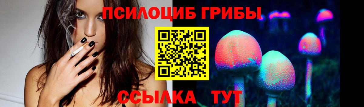Псилоцибиновые грибы GOLDEN TEACHER  Вход с VPN  Челябинск  Псилоцибиновые грибы Magic Shrooms 